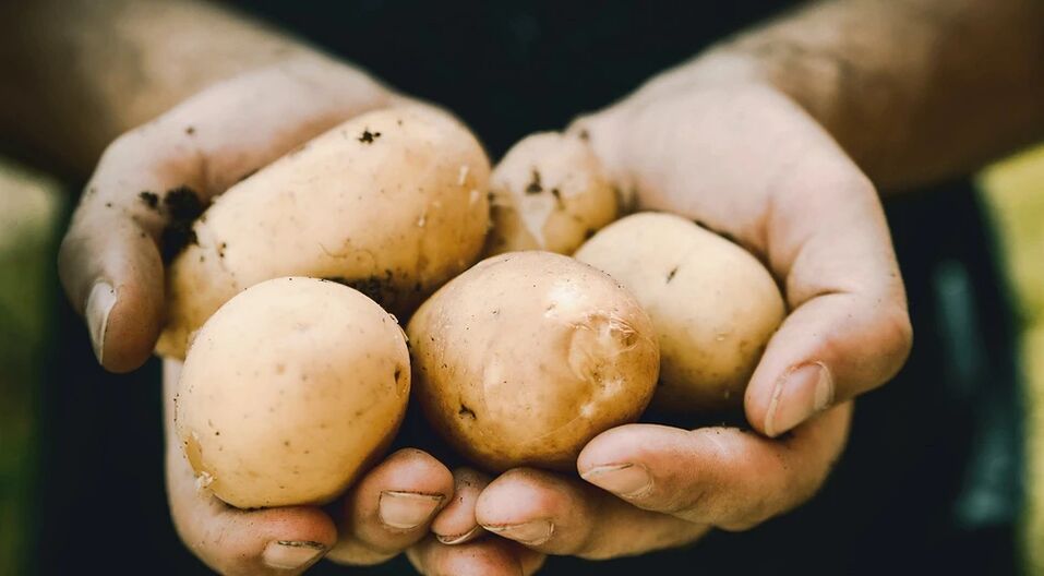 Картопля справляє позитивний вплив на чоловіче здоров'я